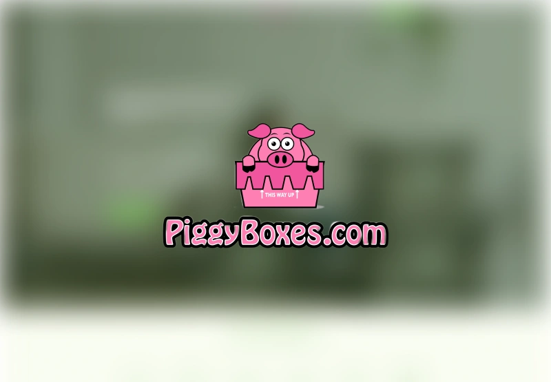 Piggy Box