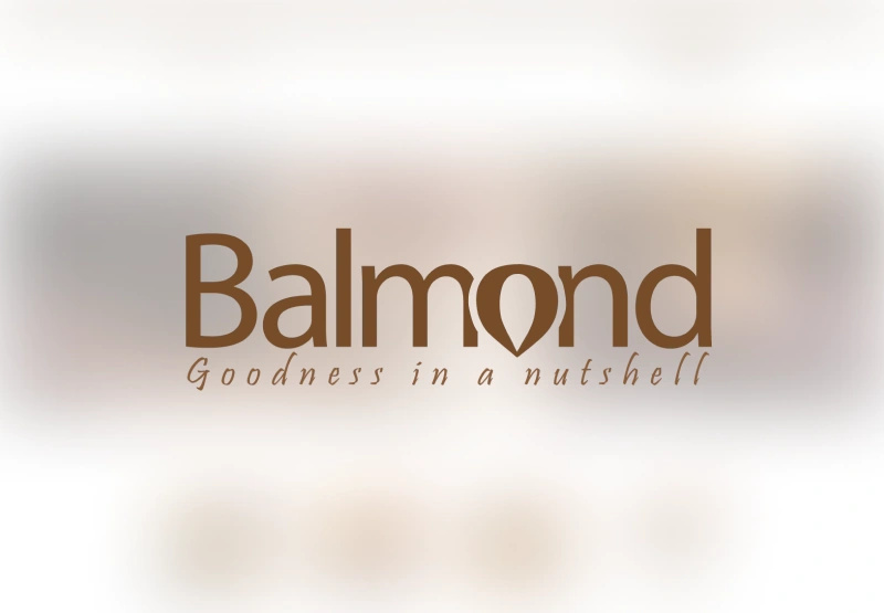 Balmond ERP